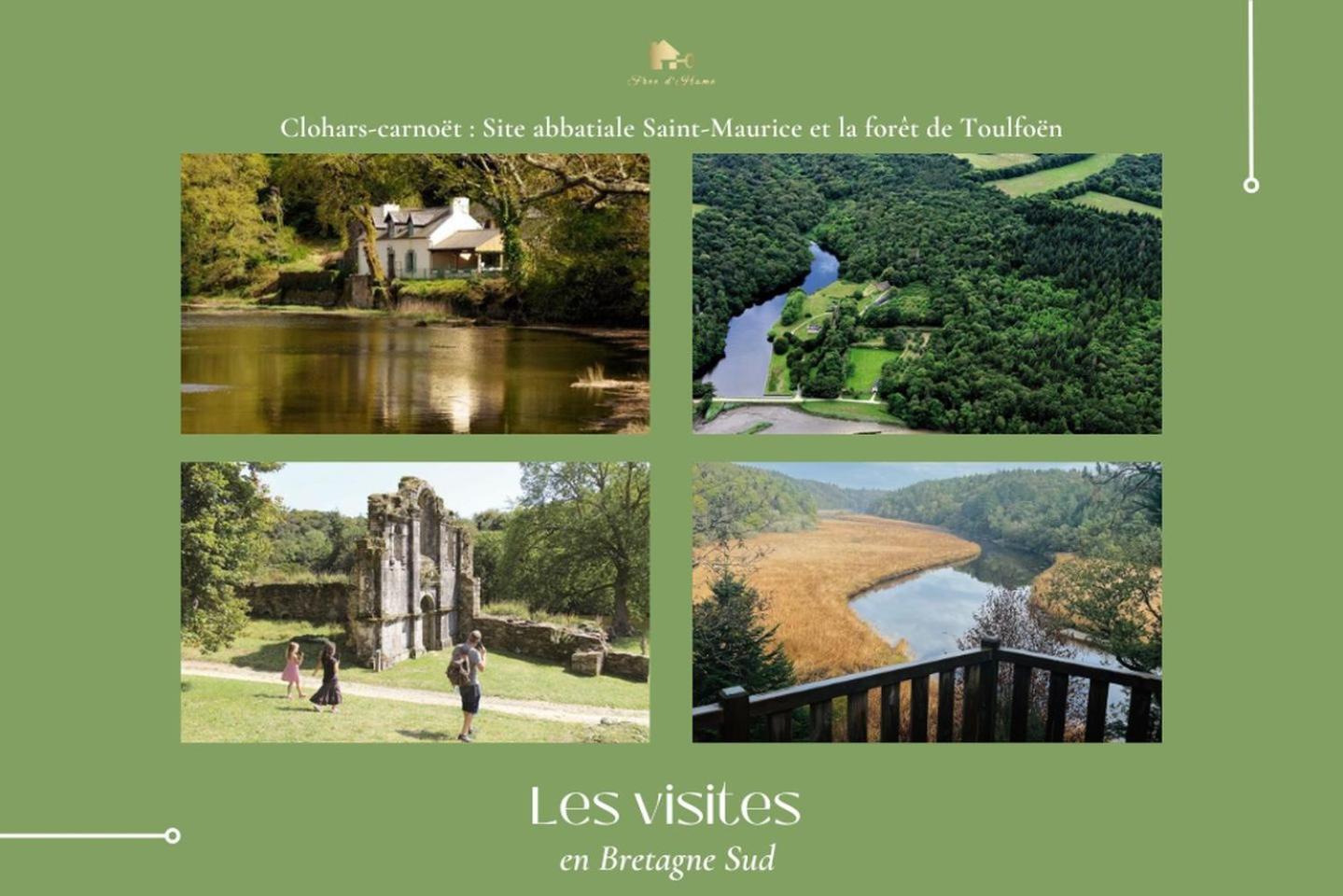 Holiday home La Maison D'alphonse, Charmante, Centre Historique 4-6pers